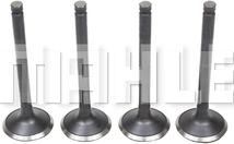 MAHLE VA2110185 - Впускной клапан abcparts.ee