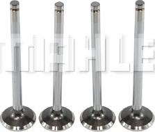 MAHLE VE0440588 - Выпускной клапан abcparts.ee