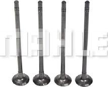 MAHLE VE0181607 - Выпускной клапан abcparts.ee