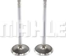 MAHLE VE0130100 - Выпускной клапан abcparts.ee