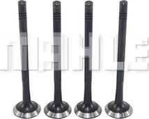 MAHLE VE0250163 - Выпускной клапан abcparts.ee