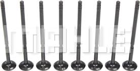 MAHLE VE0251611 - Выпускной клапан abcparts.ee