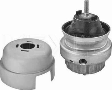 Meyle 100 199 3165 - Подушка, опора, подвеска двигателя abcparts.ee