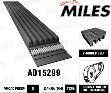 Miles AD15299 - Поликлиновой ремень abcparts.ee