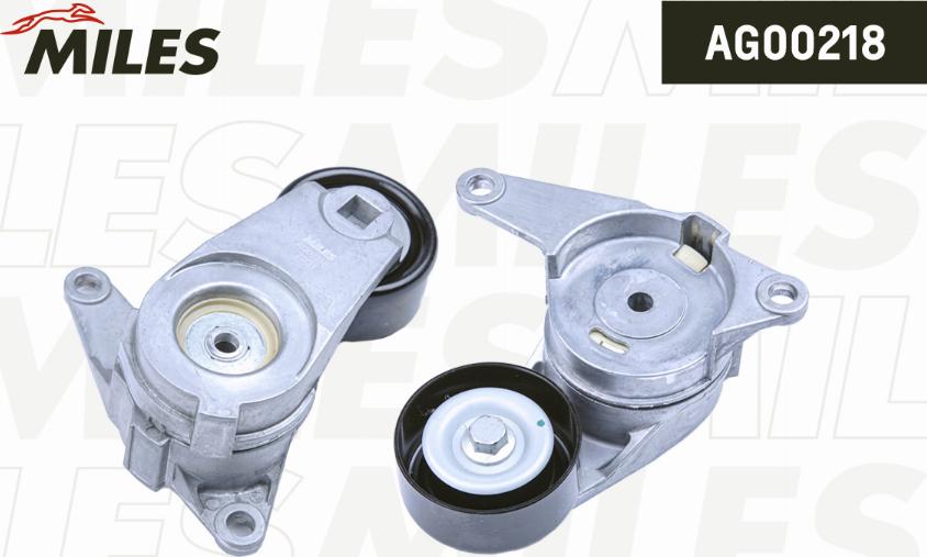 Miles AG00218 - Ролик, поликлиновый ремень abcparts.ee