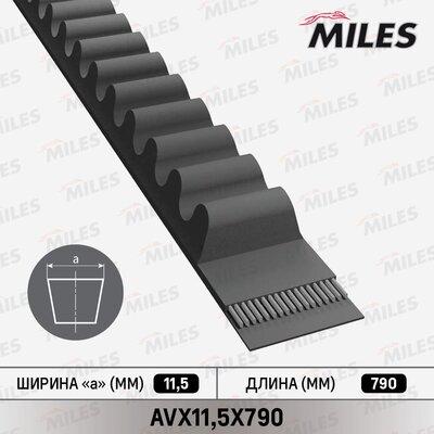 Miles AVX11,5X790 - Клиновой ремень, поперечные рёбра abcparts.ee