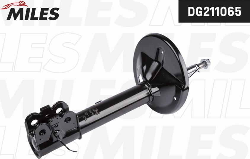 Miles DG211065 - Амортизатор abcparts.ee