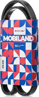 MOBILAND 501250838 - Поликлиновой ремень abcparts.ee