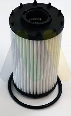 Motaquip LVFL853 - Масляный фильтр abcparts.ee