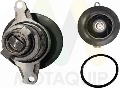 Motaquip LVWP1146 - Водяной насос abcparts.ee