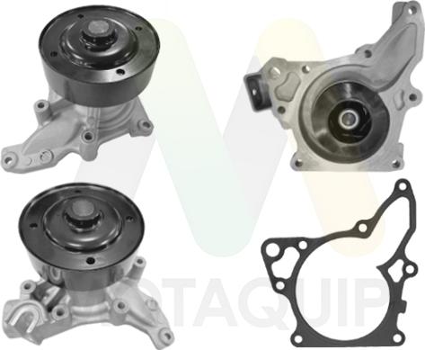 Motaquip LVWP1155 - Водяной насос abcparts.ee