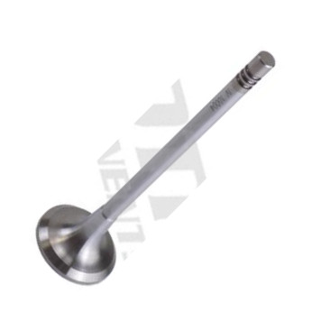 MOTIVE IV10004 - Впускной клапан abcparts.ee