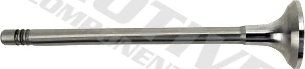 MOTIVE IV10014 - Впускной клапан abcparts.ee