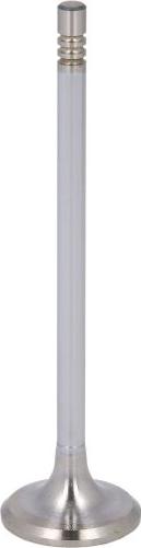 NE 147007000100 - Впускной клапан abcparts.ee