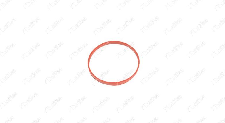 NIFEA 19357 - Прокладка, впускной коллектор abcparts.ee