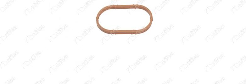 NIFEA 11025 - Прокладка, впускной коллектор abcparts.ee