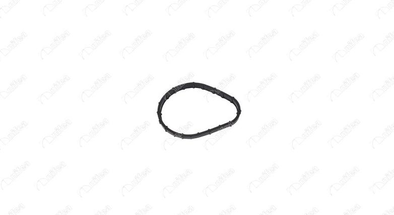 NIFEA 12353 - Прокладка, корпус термостата abcparts.ee