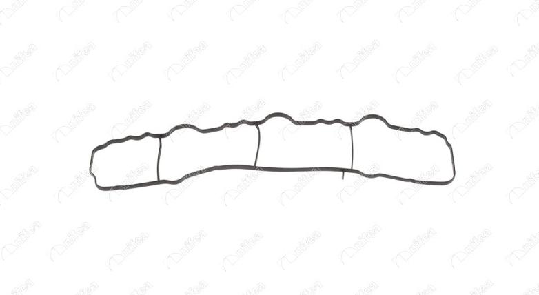 NIFEA 33489 - Прокладка, впускной коллектор abcparts.ee