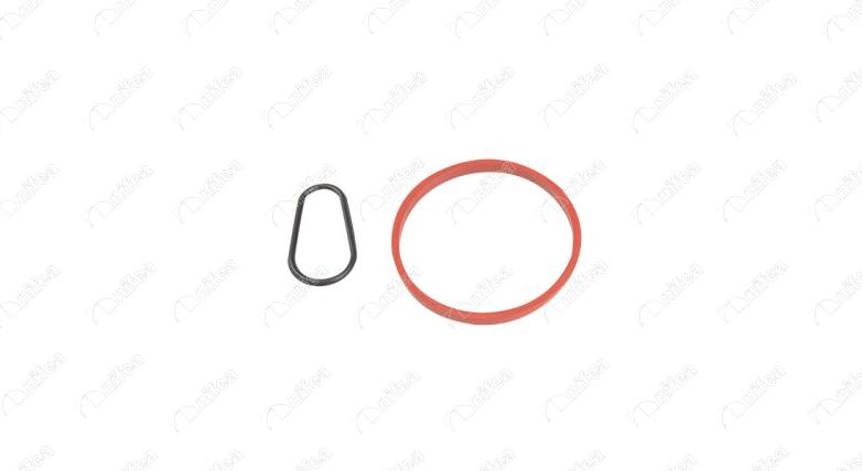 NIFEA 20068 - Прокладка, вакуумный насос abcparts.ee