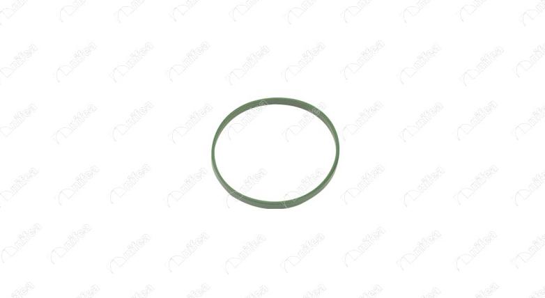 NIFEA 20087 - Прокладка, впускной коллектор abcparts.ee