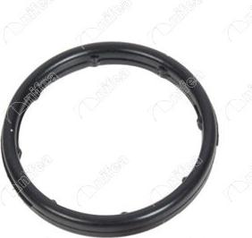 NIFEA 21176 - Прокладка, масляный радиатор abcparts.ee