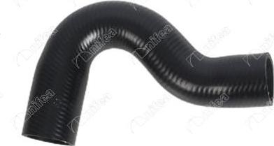 NIFEA 21336 - Шланг радиатора abcparts.ee