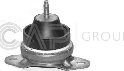 OCAP 1225148 - Подушка, опора, подвеска двигателя abcparts.ee