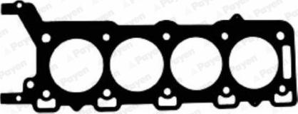 Payen AC5500 - Прокладка, головка цилиндра abcparts.ee