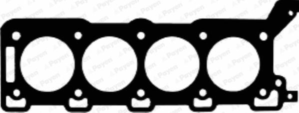 Payen AC5260 - Прокладка, головка цилиндра abcparts.ee