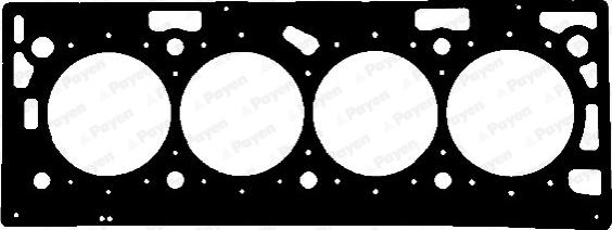 Payen AE5930 - Прокладка, головка цилиндра abcparts.ee