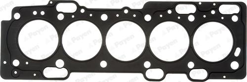 Payen AE5260 - Прокладка, головка цилиндра abcparts.ee