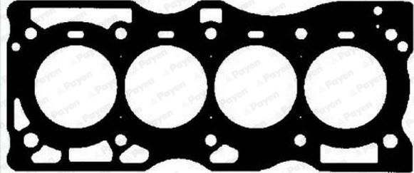 Payen AF5540 - Прокладка, головка цилиндра abcparts.ee