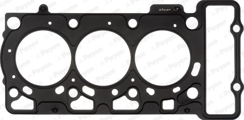 Payen AG8990 - Прокладка, головка цилиндра abcparts.ee