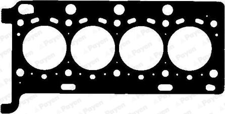 Payen AH7880 - Прокладка, головка цилиндра abcparts.ee