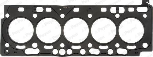 Payen AH7200 - Прокладка, головка цилиндра abcparts.ee