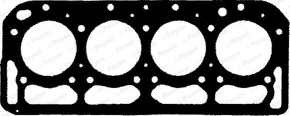 Payen BF040 - Прокладка, головка цилиндра abcparts.ee