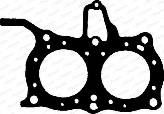 Payen BJ610 - Прокладка, головка цилиндра abcparts.ee