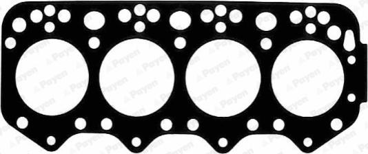 Payen BP560 - Прокладка, головка цилиндра abcparts.ee