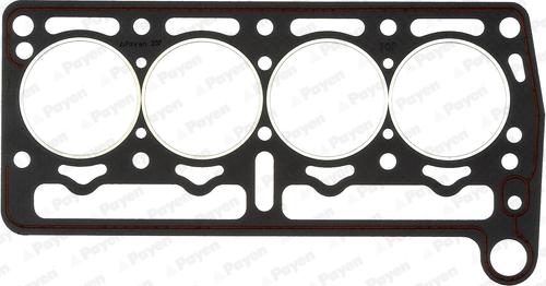 Payen BP520 - Прокладка, головка цилиндра abcparts.ee