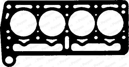 Payen BP030 - Прокладка, головка цилиндра abcparts.ee
