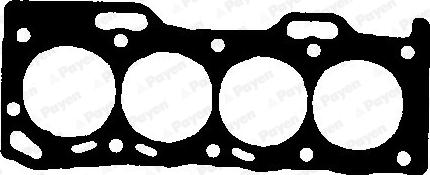 Payen BV330 - Прокладка, головка цилиндра abcparts.ee