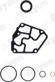 Payen EC060 - Комплект прокладок, блок-картер двигателя abcparts.ee