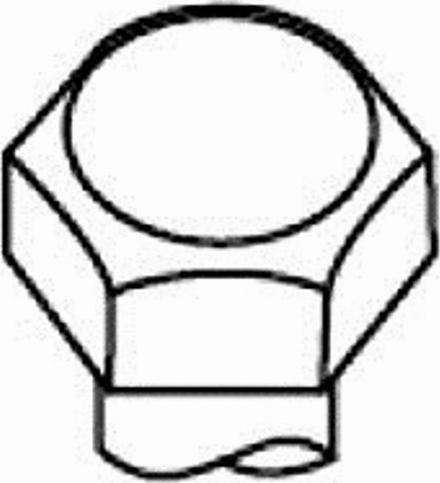 Payen HBS445 - Комплект болтов головки цилиндра abcparts.ee