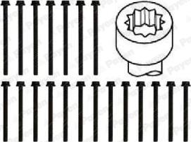 Payen HBS466 - Комплект болтов головки цилиндра abcparts.ee