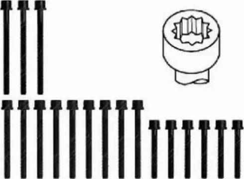 Payen HBS461 - Комплект болтов головки цилиндра abcparts.ee