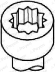 Payen HBS545 - Комплект болтов головки цилиндра abcparts.ee