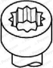 Payen HBS518 - Комплект болтов головки цилиндра abcparts.ee