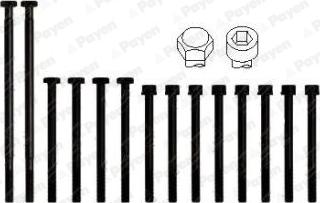 Payen HBS010 - Комплект болтов головки цилиндра abcparts.ee