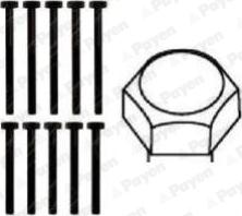 Payen HBS112 - Комплект болтов головки цилиндра abcparts.ee
