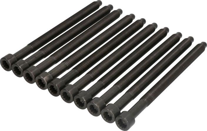 Payen HBS300 - Комплект болтов головки цилиндра abcparts.ee